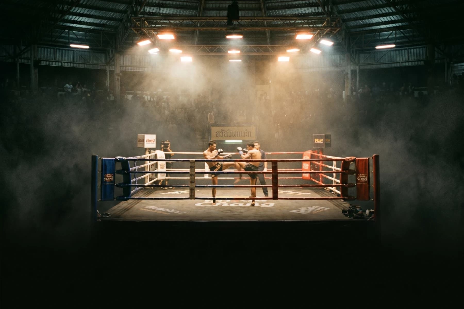 Soirée match au boxing stadium
